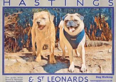Charlie and Alfie Dog Walkers Hastings