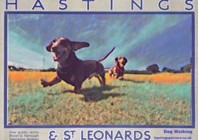 Doxies - St Leonards and Hastings Dog Walking Services