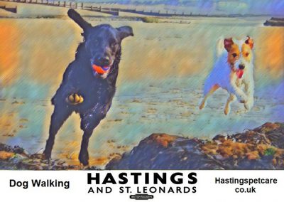 St Leonards and Hastings Dog Walkers Reg and George