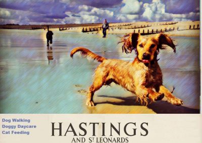Dog Walking Services Hastings