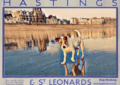 Hastings and St Leonards Dog Walkers