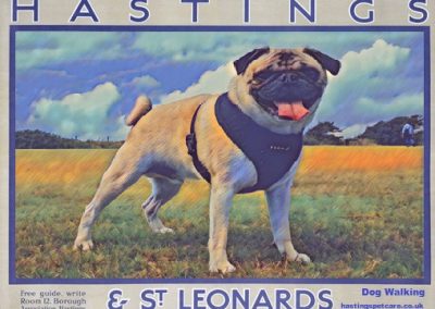 Hastings and St Leonards Dog Walkers